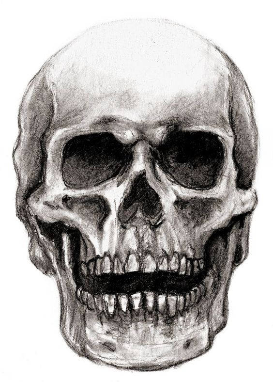 How to Draw a Skull  A StepbyStep Human Skull Drawing Tutorial