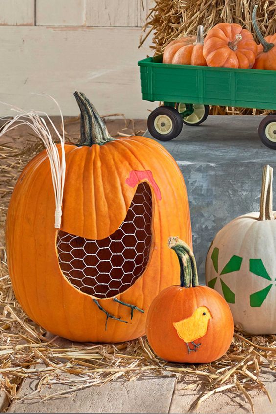 Hen and Chicks Pumpkin