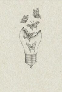 Butterfly Tattoo Drawings