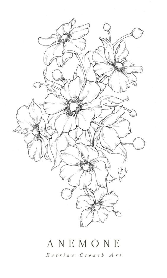 Draw Flowers as Unique as an Anemone