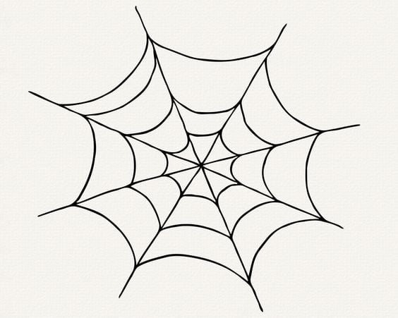 Spider Web