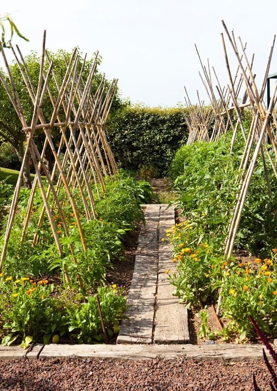 Bamboo Tomato Cage