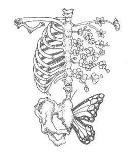 Skeleton, Butterfly, Flowers Tattoo Drawing Ideas