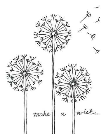 Drawing a Dandelion Is Easy and Playful