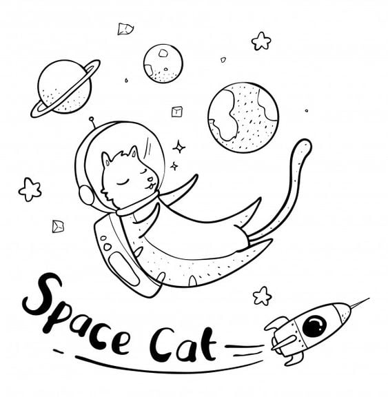 Space Cat