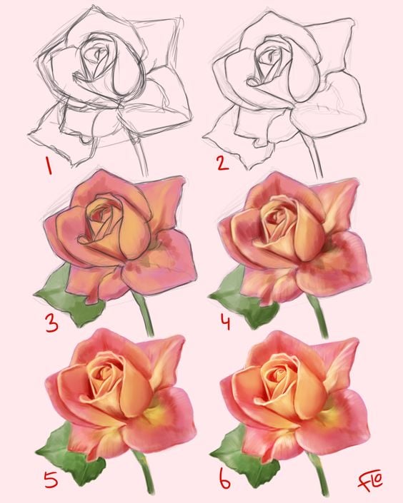 Draw a Rose Like a Pro