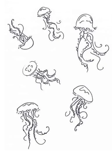 Jellyfishes Swimming Around