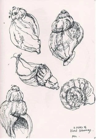 Seashells Fast Sketches