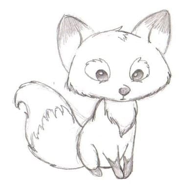 Cute Graphite Fox Drawing