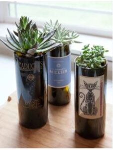 23 DIY Wine Bottle Planters