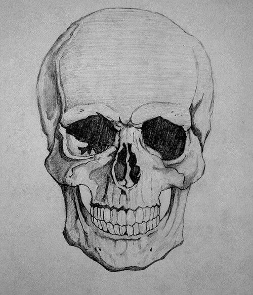 How to Draw Realistic Skulls Volume 5: Simple Guide to Drawing Skulls (How  to Draw Skulls): Publication, Gala: 9781522785866: Amazon.com: Books