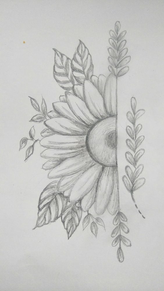 Drawing a Sunflower