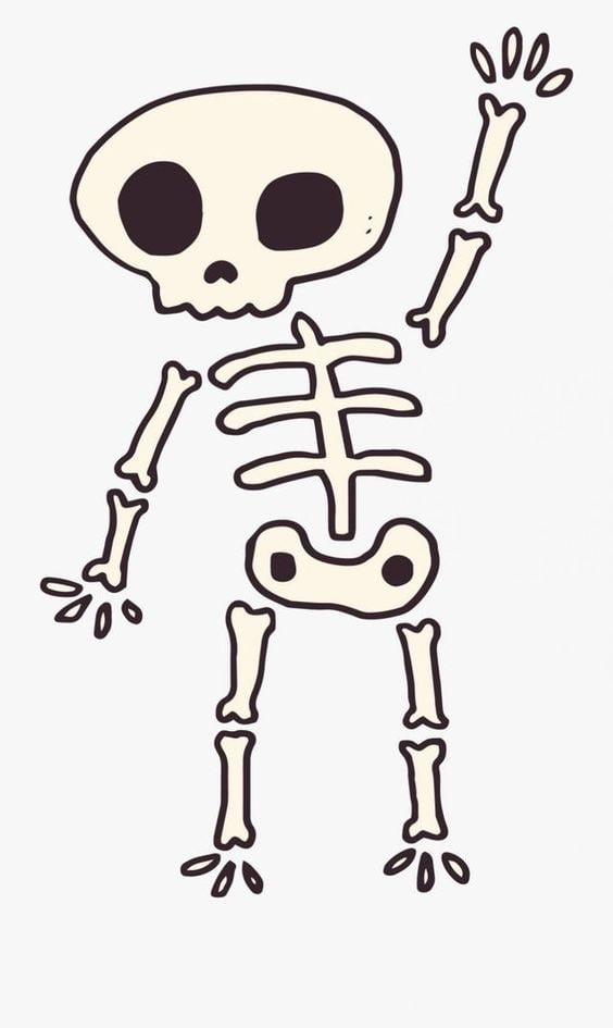 Skeleton