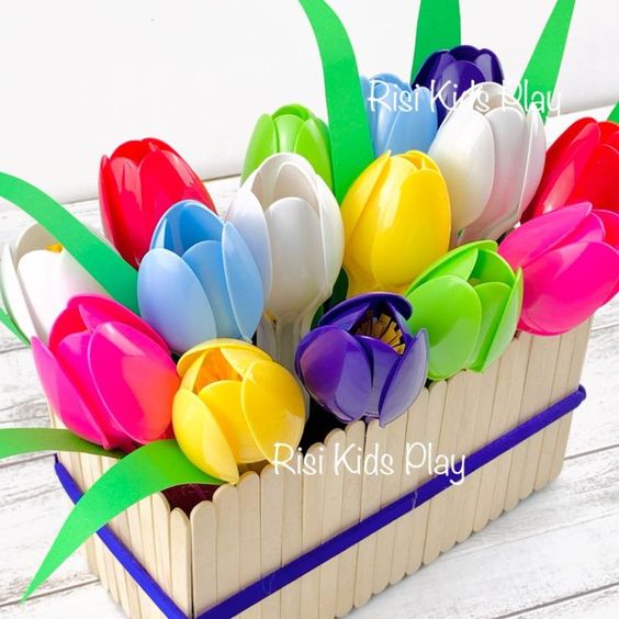 Colorful Tulip Flowers