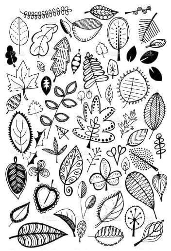 Leaf Doodles Showcasing Nature’s Diversity