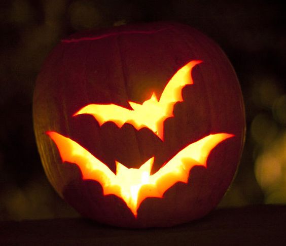 Bat Pumpkin