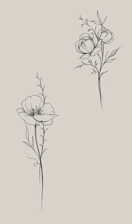 22 Flower Drawings  Free PSD AI EPS Format Download
