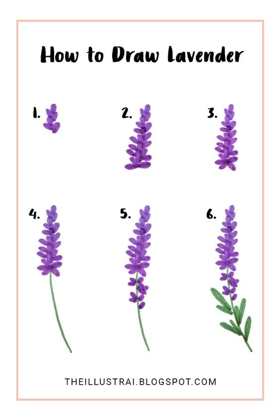 Summer Favorite Lavender Flowers