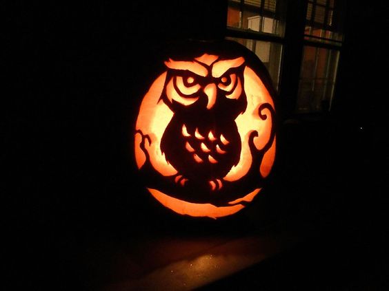 Owl Pumpkin