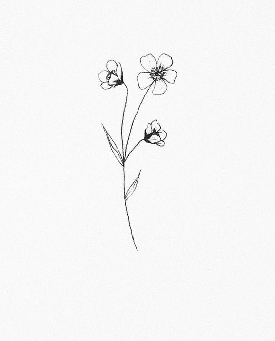 small black aster tattoo, aster flower drawing, aster flower drawing  tattoo, drawing aster September flower tattoo, aster September birth flower  tattoo, small simple aster flower tattoo 29496704 Vector Art at Vecteezy