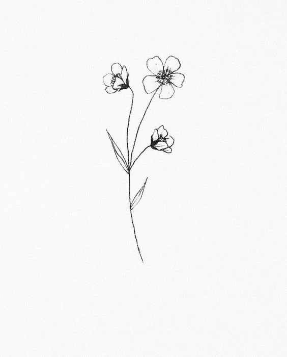 15 Easy Flower Drawing Ideas
