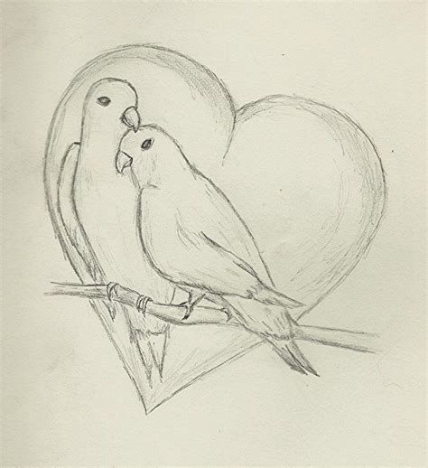 Drawing Love Birds