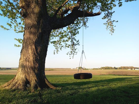 Tire Swing