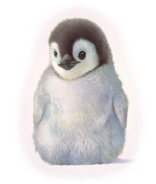 A Fluffy Baby Penguin Smiling