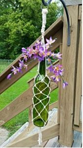 Hanging Wine Bottle Planter