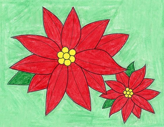 Poinsettias