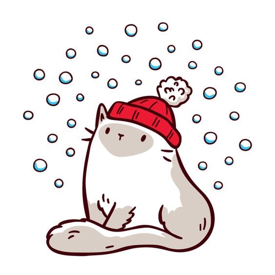 Cat in Christmas Outfit