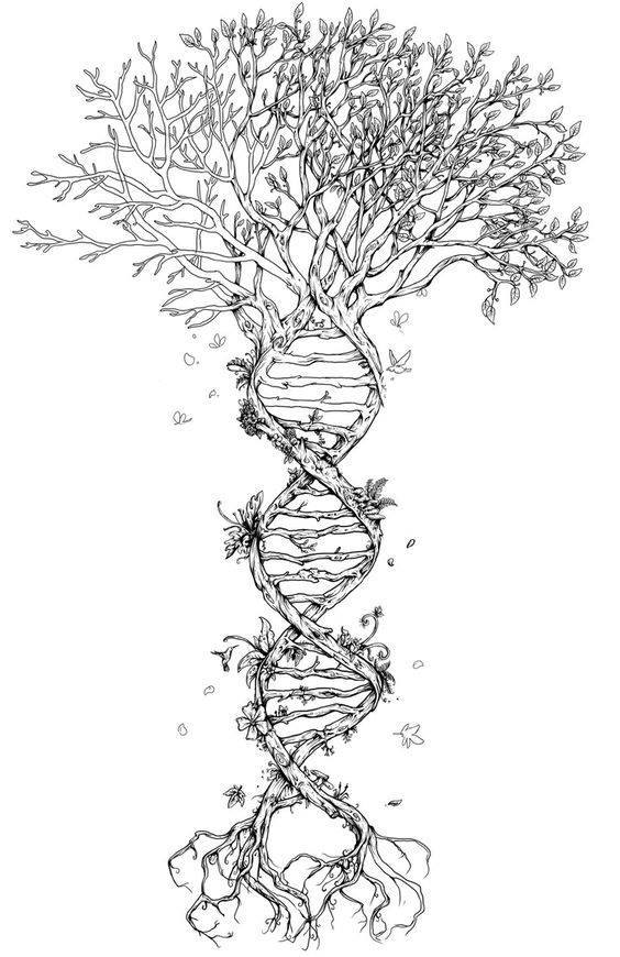 Tree Tattoo Design Draw Up