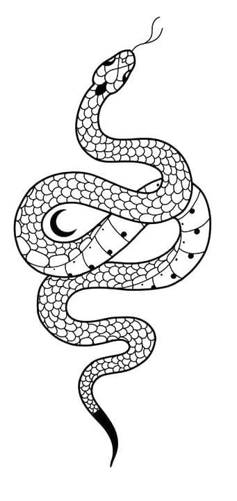 Cobra Tattoo Designs