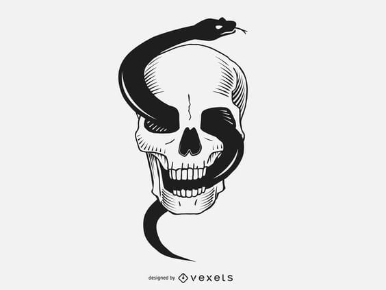 Snake Skull Tattoo Drawing Design