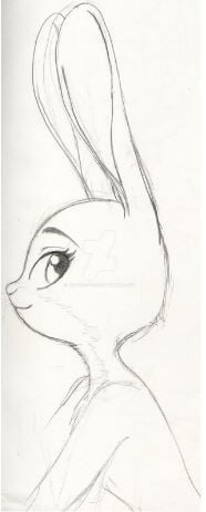 A Bunny Rabbit