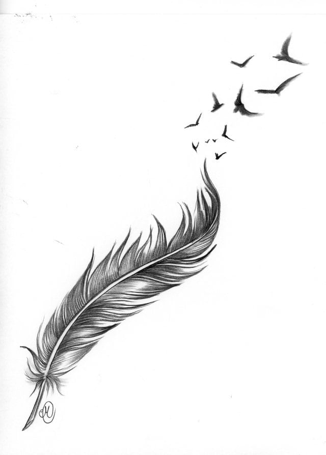 Feathers Tattoo Drawings