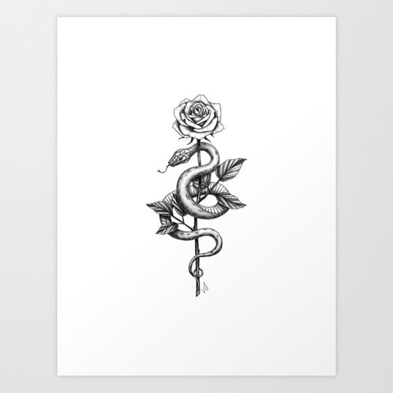 Rose and Snake Tattoo Designs