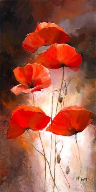 Large Red Poppy Flowers