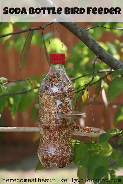 Soda Plastic Bottle Bird Feeder