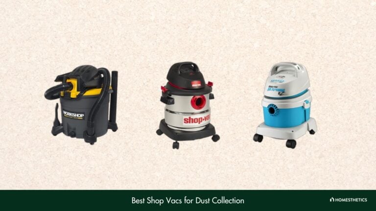 Best Shop Vacs for Dust Collection