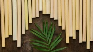 31 DIY Bamboo Projects to Bring Out the Natural Beauty of Your Garden