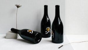 Wine Bottle Craft Conclusion