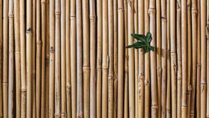 Add A Bamboo Fence