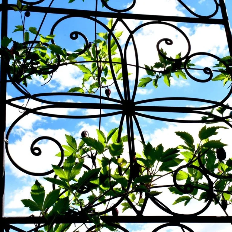 Install An Iron Trellis