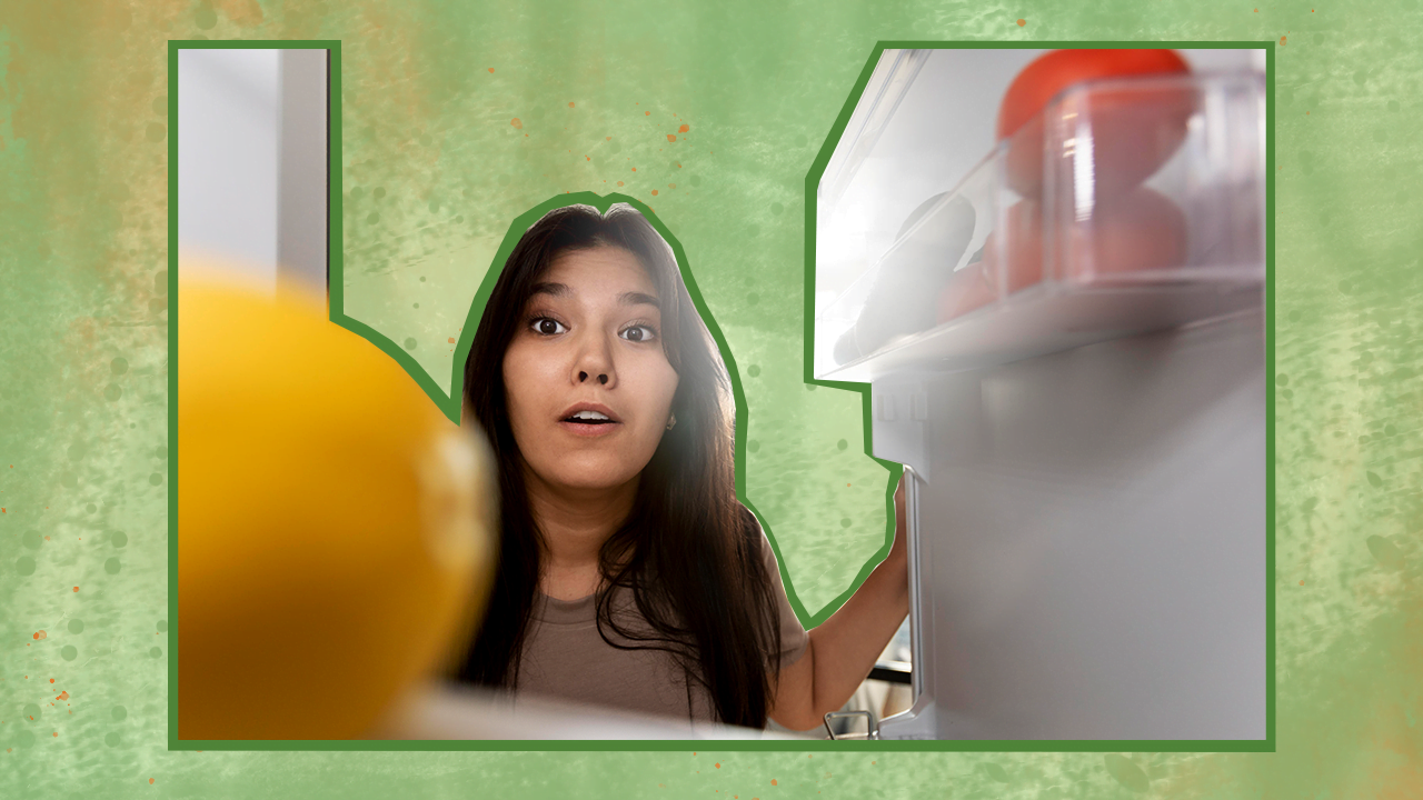 Freezer Not Freezing Everything You Need To Know