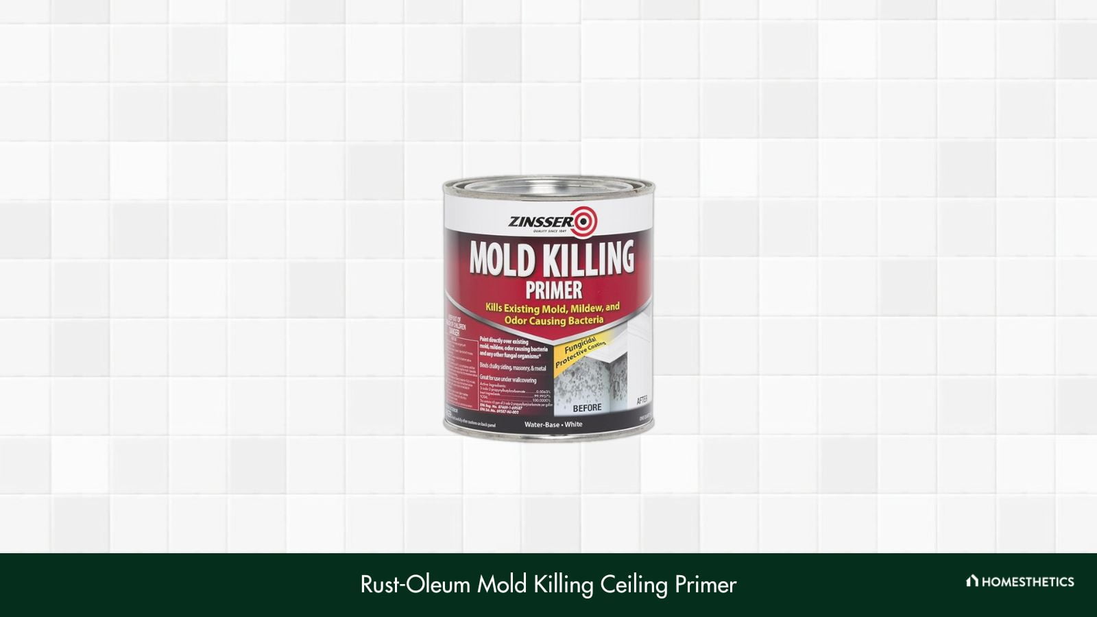 Rust Oleum Zinsser 276087 Mold Killing Primer