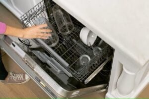 Place the Cup on the Dishwasher's Top Rack