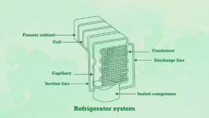 What Are the Different Parts of a Refrigerator?