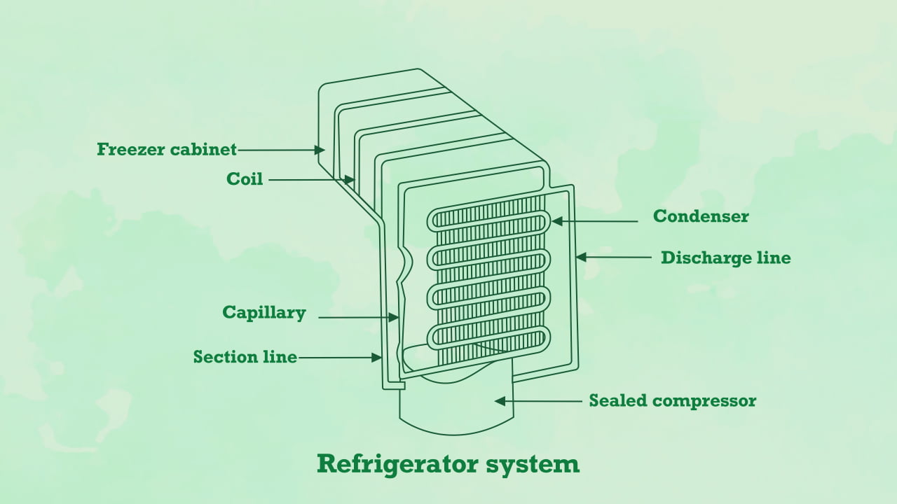 How Does A Refrigerator Work? A Complete Guide