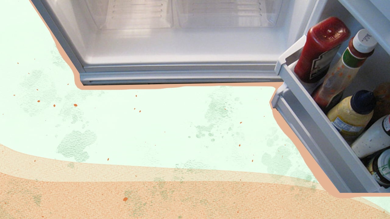 Why Is My Refrigerator Leaking Water + Fix User’s Guide